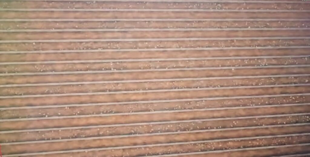 How To Fix DPF In Car