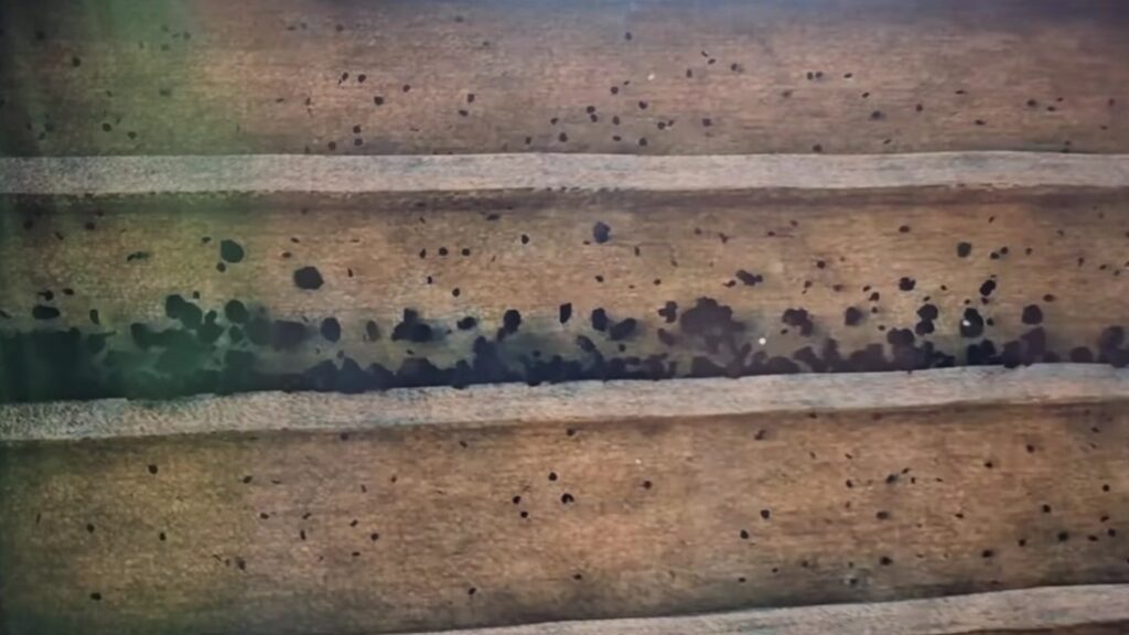 How To Fix DPF In Car