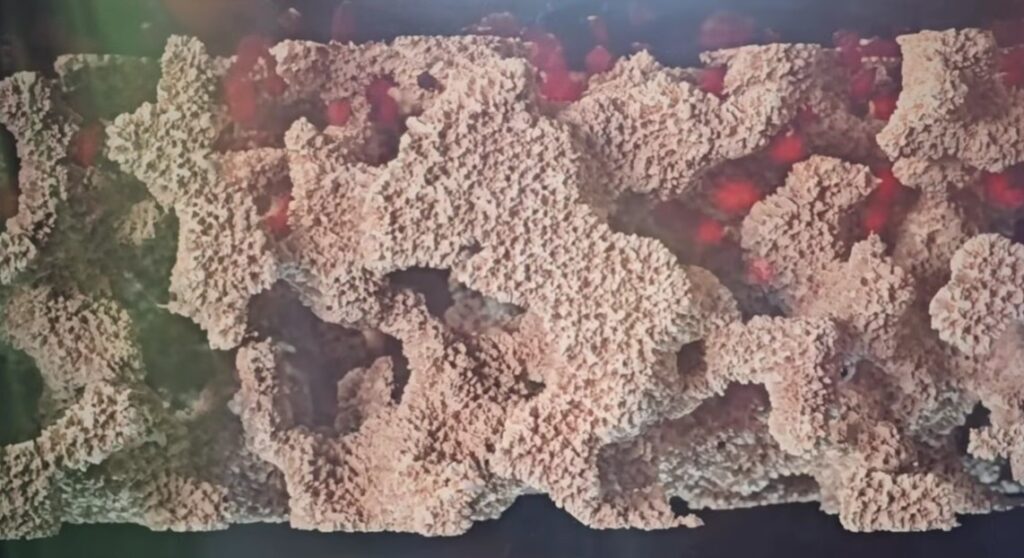 How To Fix DPF In Car