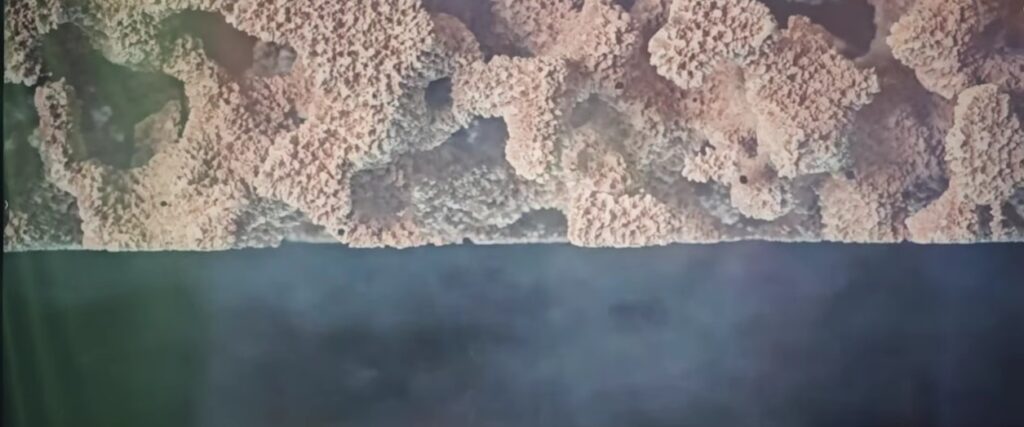 How To Fix DPF In Car