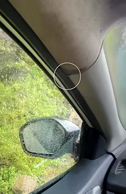 how to clean car sunroof