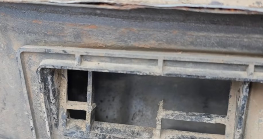 How to avoid rats in car naturally