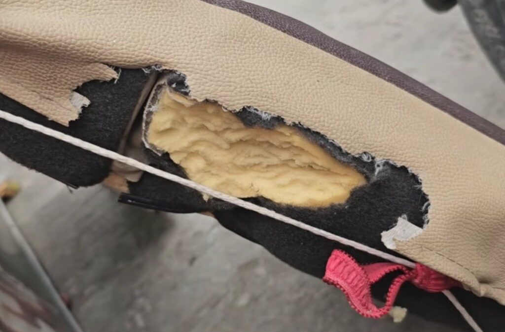 How to avoid rats in car naturally